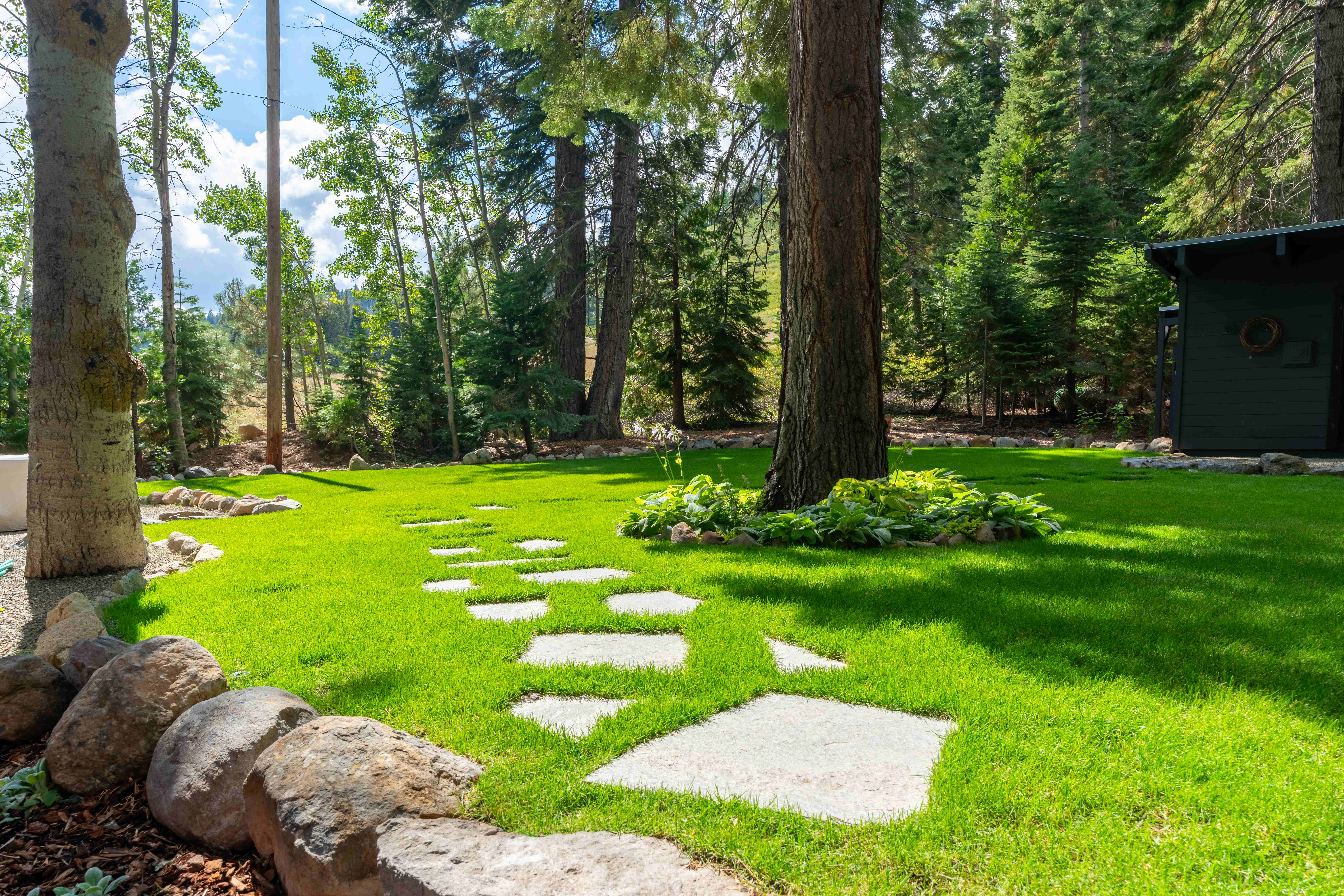 Professional landscape and lawn maintenance services in Lake Tahoe